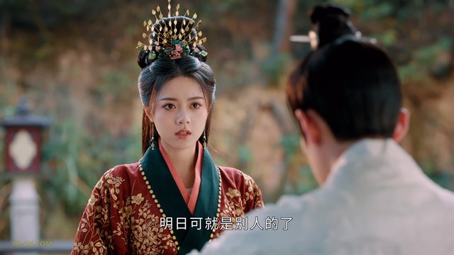 度华年 第25集 / The Princess Royal EP25