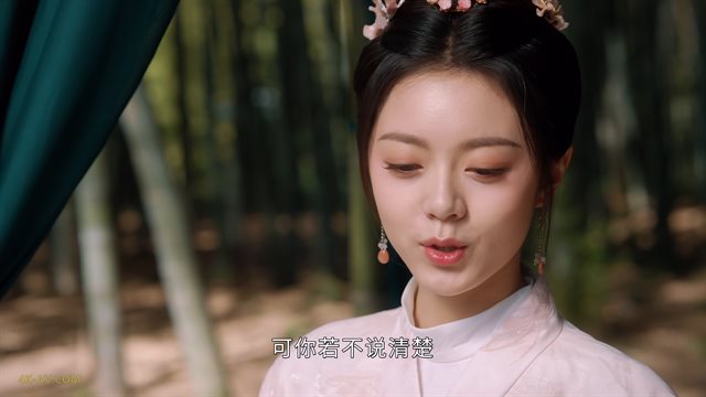 度华年 第28集 / The Princess Royal EP28