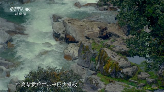 遇见最极致的中国 第6集 山河并流