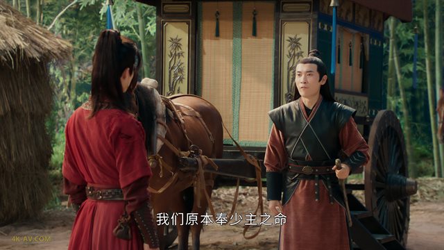 少年白马醉春风 第29集 / Dashing Youth EP29