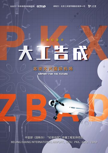 Airport for the Future Poster