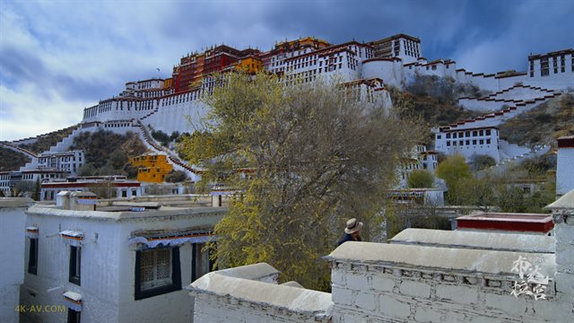 布达拉宫 第4集 愿有情 / The Potala Palace EP04