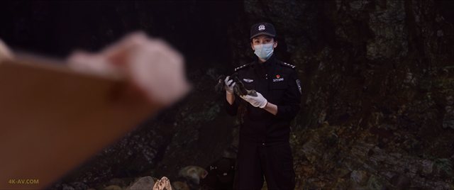 猎罪图鉴 第2季第6集 / Under the Skin S02E06